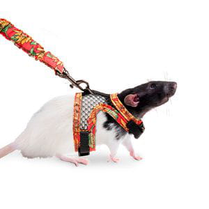 Arnés y Correa Comfort Conejos y Roedores