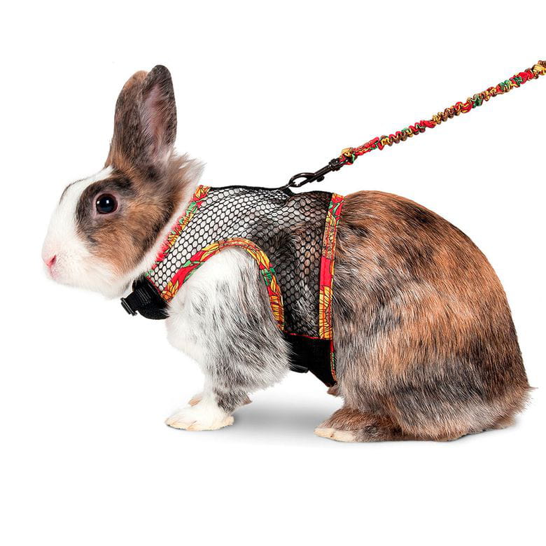 Arnés y Correa Comfort Conejos y Roedores