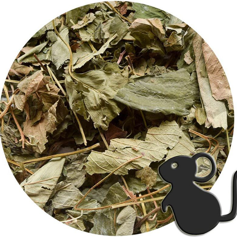 Hojas de Fresa Silvestre