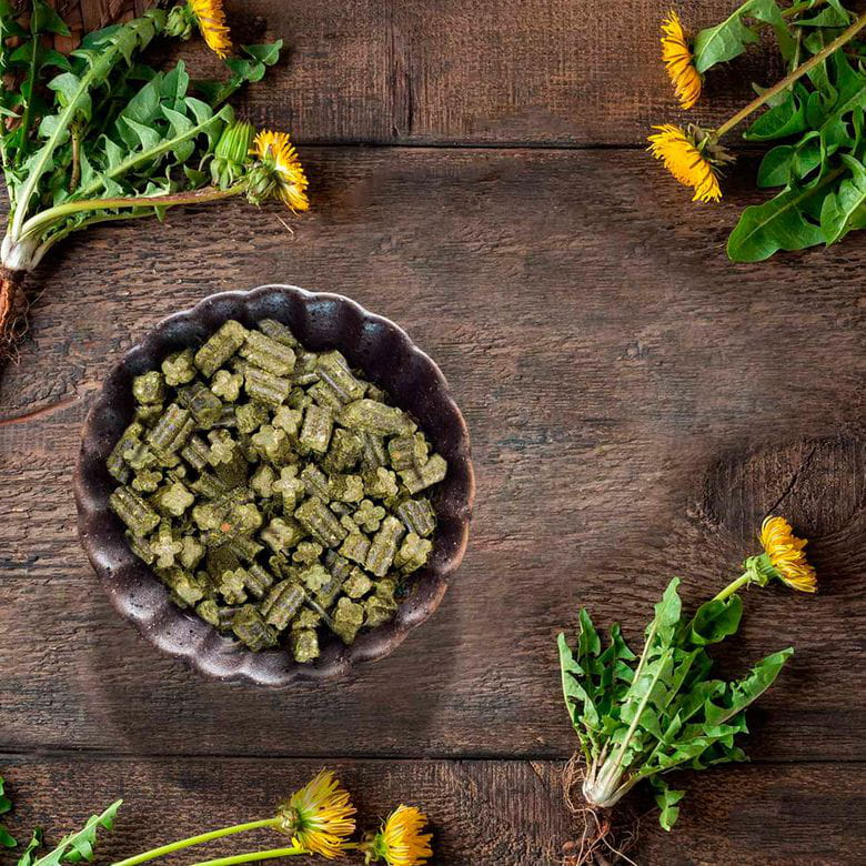 Pienso completo sin cereales - Conejos