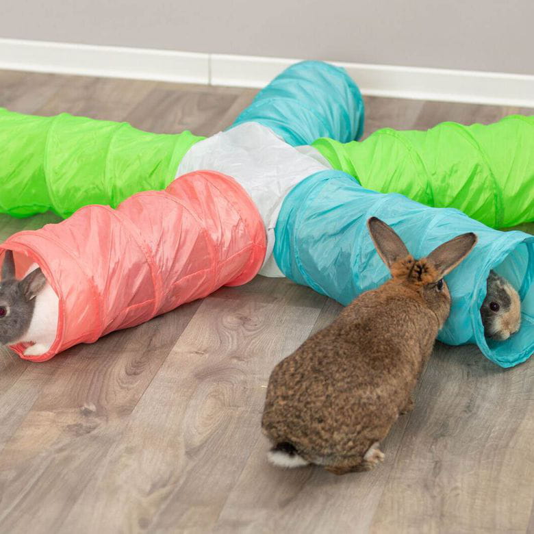 Madriguera de 6 entradas