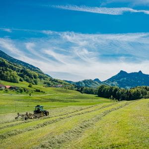 Samerberger Heno Bio Premium - 1er Corte