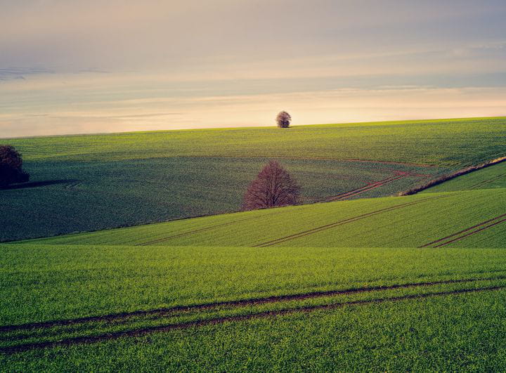 Heno: conservación y almacenamiento
