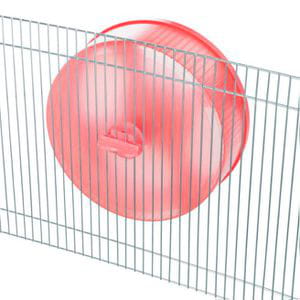 Rueda Ejercicio TRIXIE Color