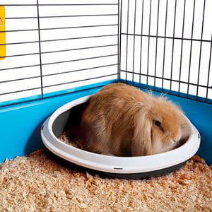 Bandeja Esquinera Concha