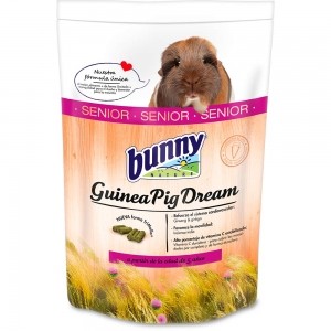 Bunny Dream - Cobaya Senior