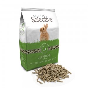 Science Selective Conejo Junior