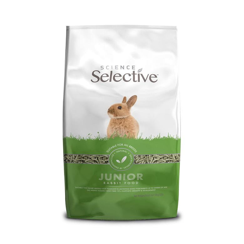 Science Selective - Conejo Junior