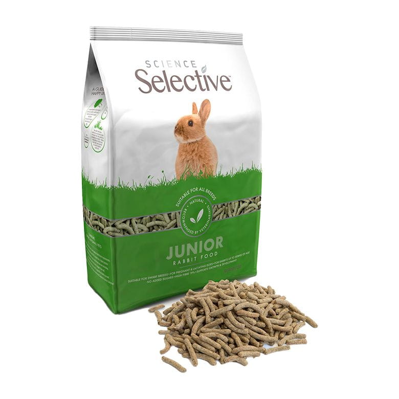 Science Selective - Conejo Junior