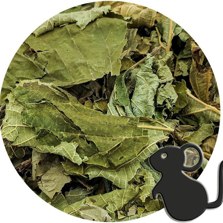 Hojas de Avellano