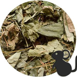 Hojas de Fresa Silvestre