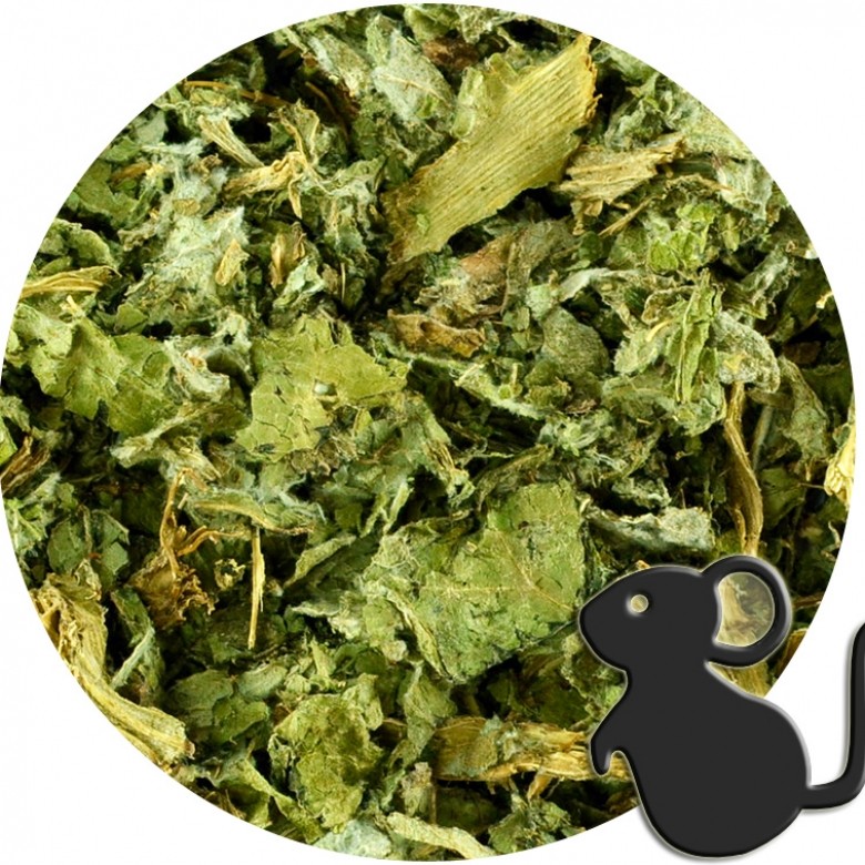 Alcachofa