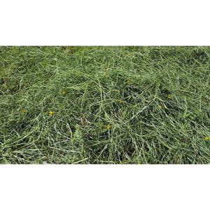 Segundo Corte Zollernalb-Heno de Montaña con Hierbas