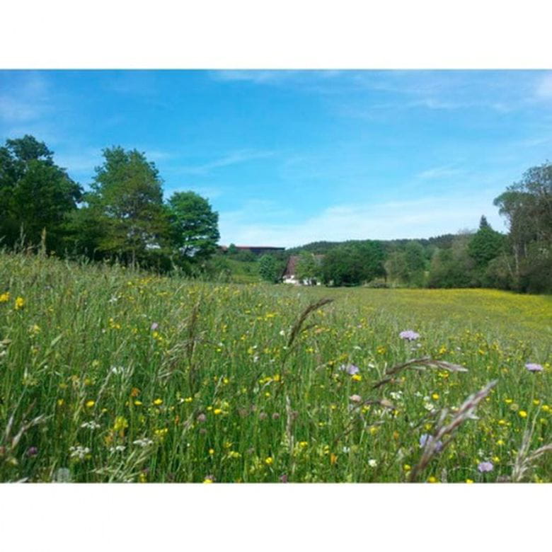 Segundo Corte Zollernalb-Heno de Montaña con Hierbas