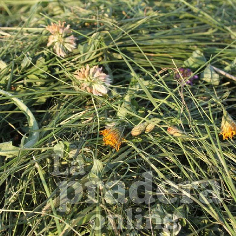 Heno de Montaña con Hierbas Almenland