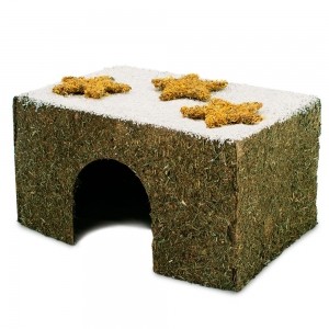 Casita nevada con caléndula - Especial Navidad