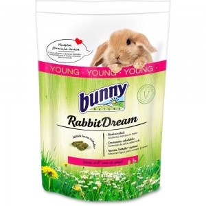 Bunny Dream - Conejo Joven