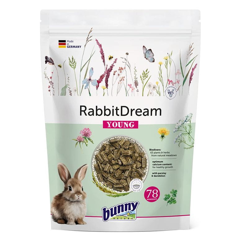 Bunny Dream - Conejo Joven