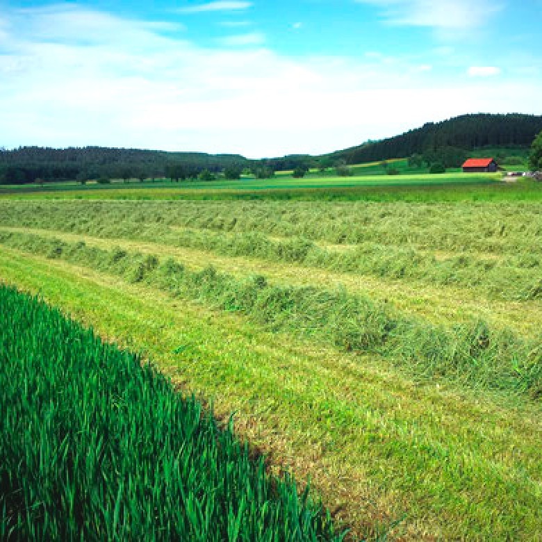 Mezcla de Cortes Zollernalb-Heno de Montaña con Hierbas