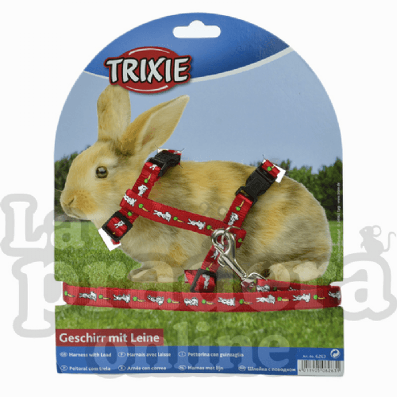Arnés y correa conejo trixie