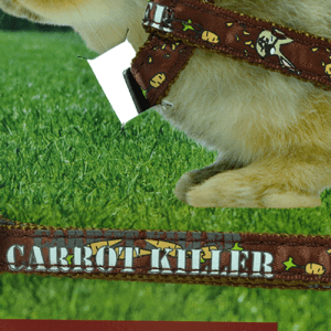 Arnés carrot killer