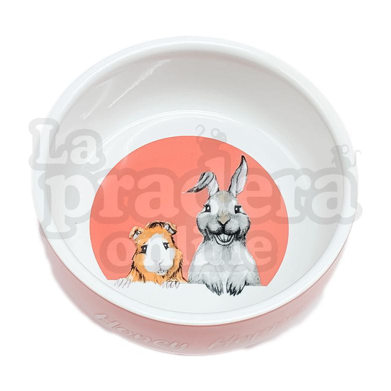 Cuenco honey hopper