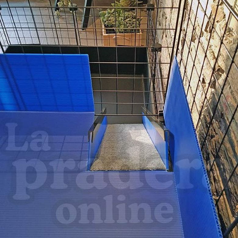 Rampa antideslizante