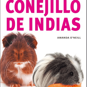 50 Consejos de Oro para tu Conejillo de Indias