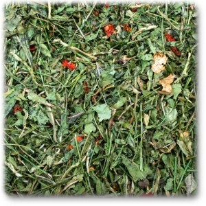 Rúcula y Tomate 100g