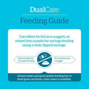Burgess Excel Dual Care