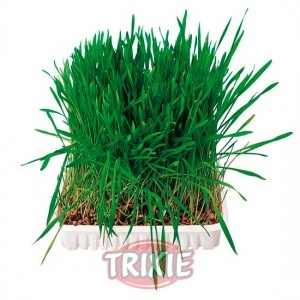 Mezcla de hierbas para cultivar - Trixie
