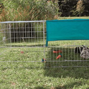 Área de Juego exterior 216x65x116cm + Protección solar