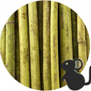 Varitas de Tupinambo