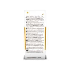 Aritos de Timothy & Tomillo