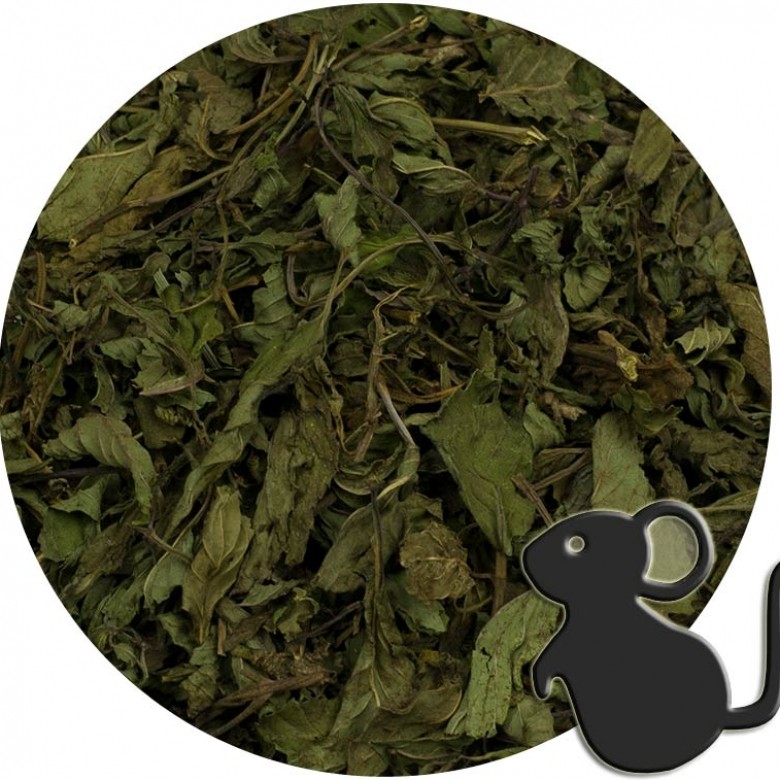 Hojas de Menta