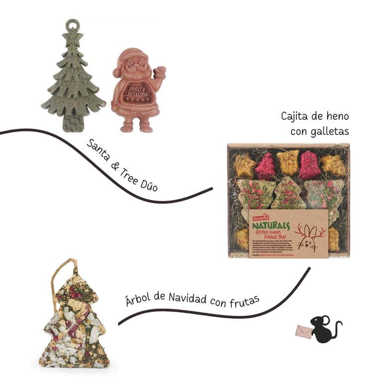 Christmas Box - Lote Nº1 - Especial Navidad