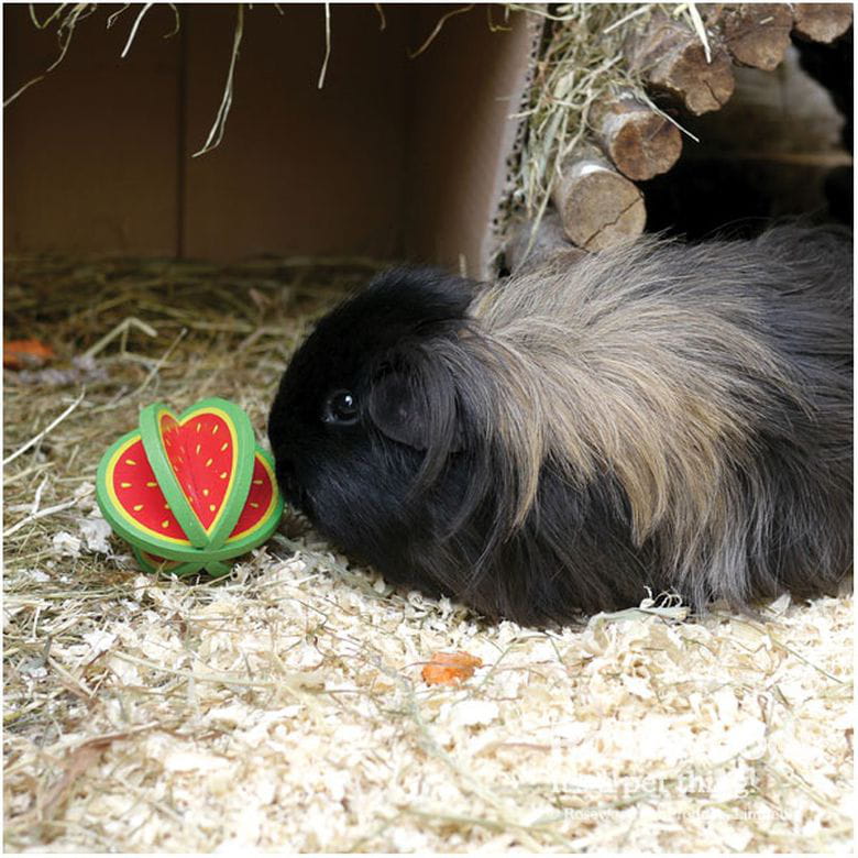 Frutas Rodantes - Sandía