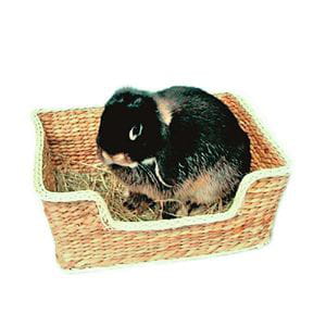 Cesta para Relax y Juego