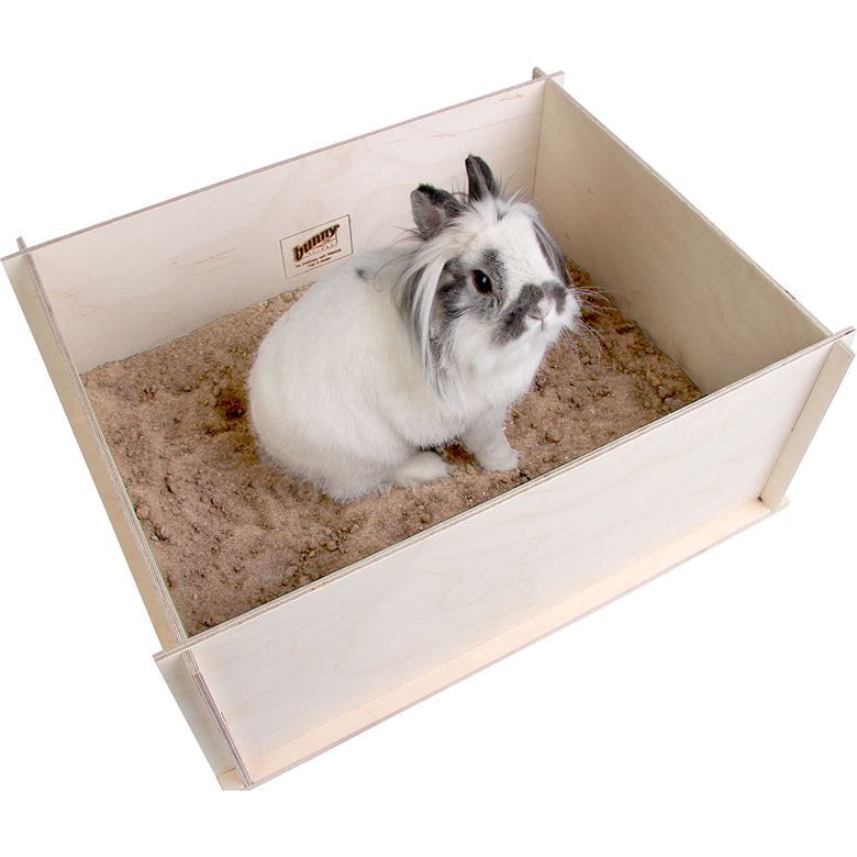 DiggingBox