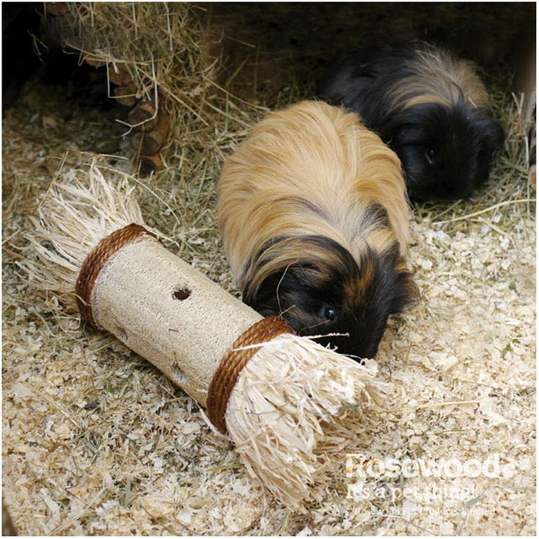 Loofa Treat Roller