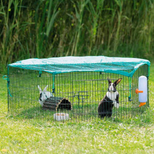 Juguetes para conejos - RoedoresPark