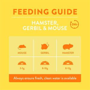Burgess - Hamsters, Jerbos & Ratones