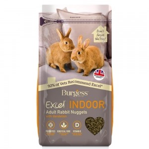 Burgess Excel - Conejo Indoor