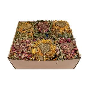 Cómete la Primavera