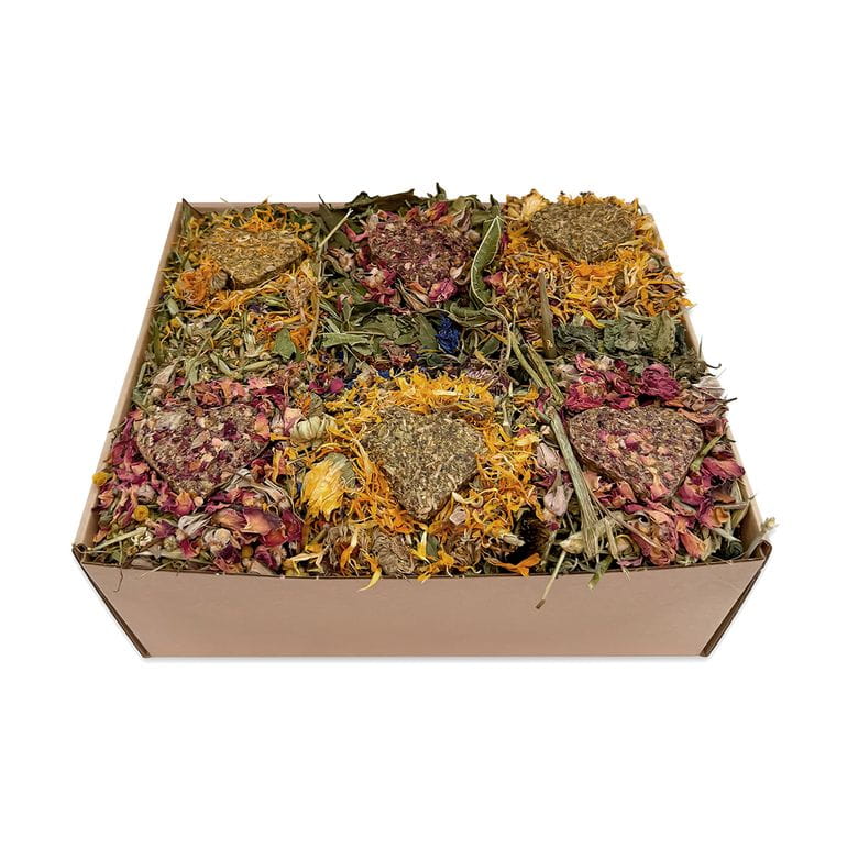 Cómete la Primavera