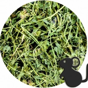 Heno de Alfalfa Premium