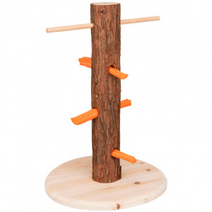 Árbol de alimentación y juegos