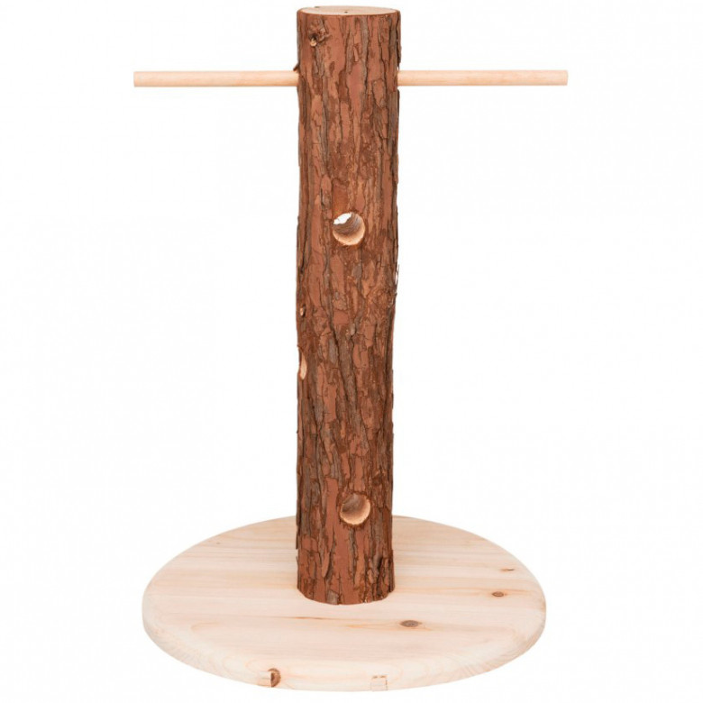 Árbol de alimentación y juegos