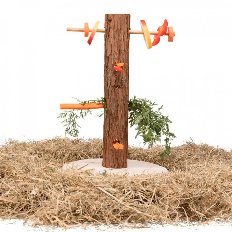 Árbol de alimentación y juegos