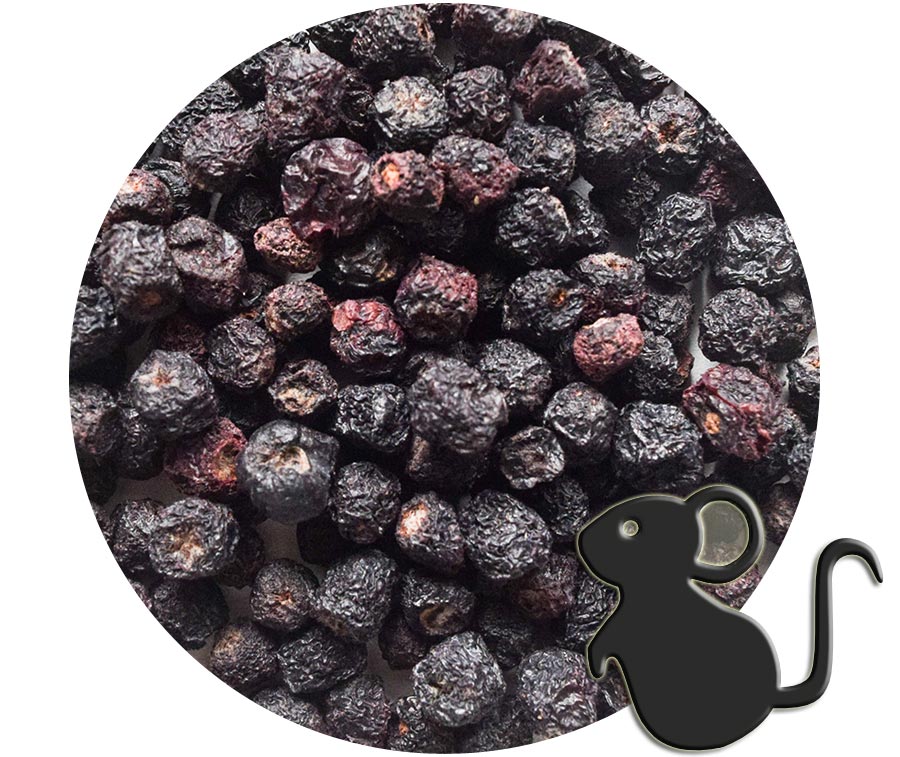 Bayas De Aronia Tarrina Pequena La Pradera Online